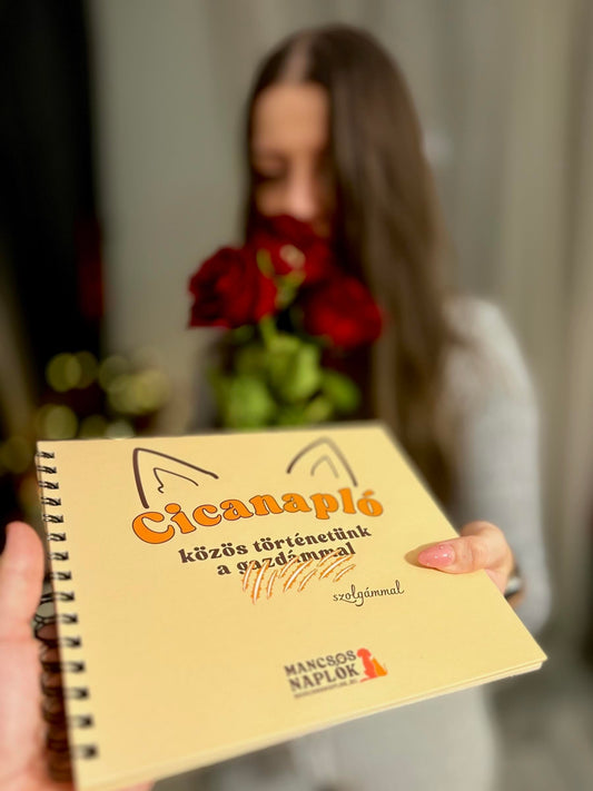 Valentin-napi ajándék cicás nőnek – Cicanapló rózsával