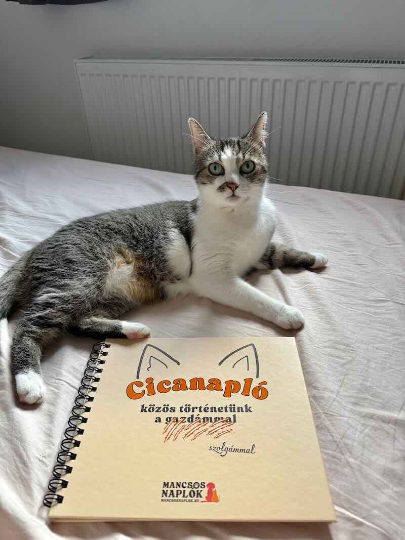 Cicanapló a Mancsos Naplók sorozat részeként az ágyon, mögötte egy okos cica néz.