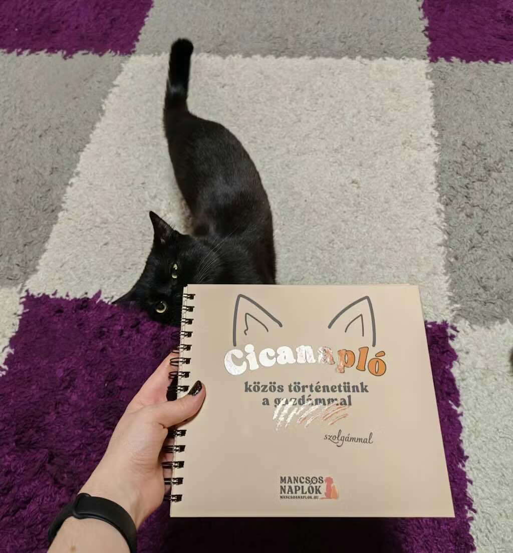 Cicanapló a Mancsos Naplók sorozat részeként, amit egy fekete cica szagolgat.