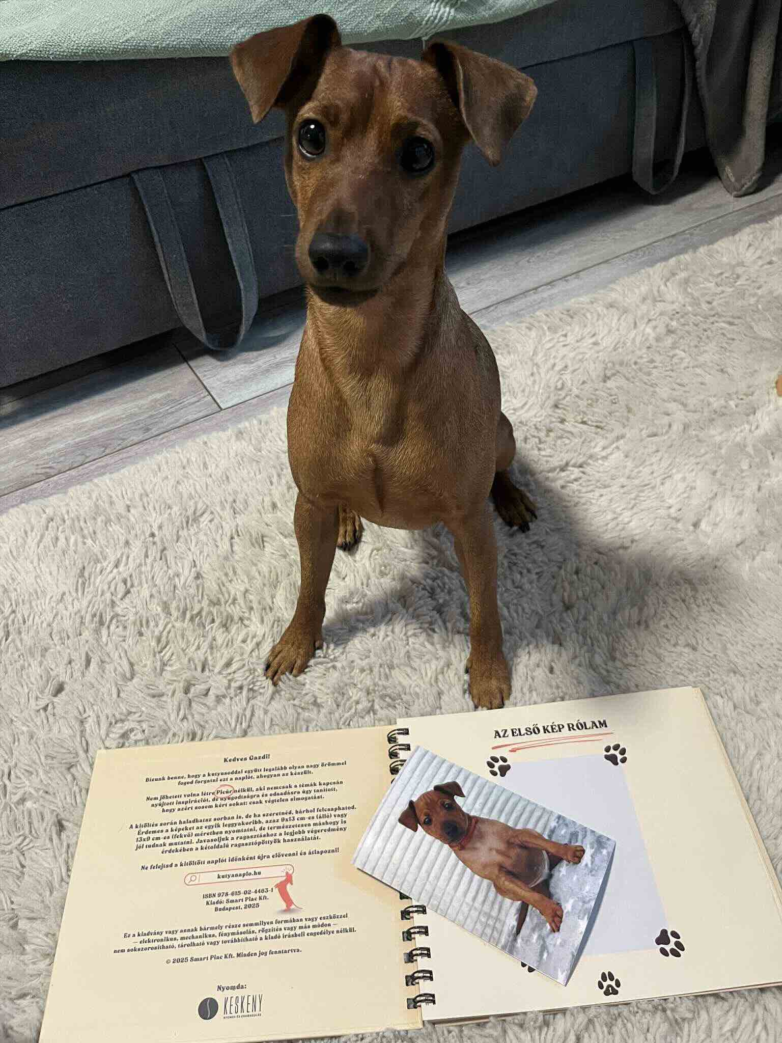 Kinyitott, kinyomtatott fényképpel ellátott Kutyanapló a Mancsos Naplók sorozat részeként, mögötte egy kutya ül és néz.