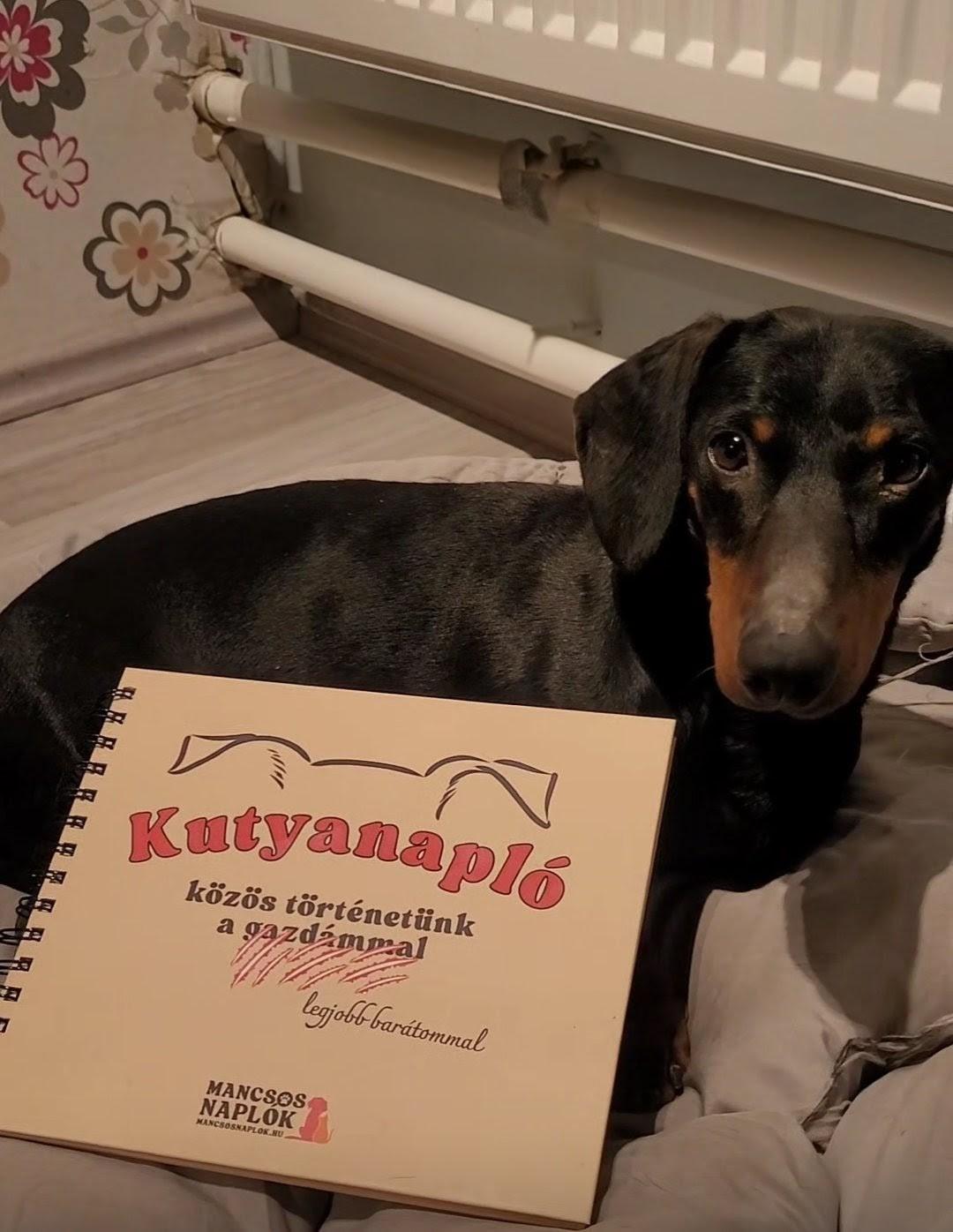 Kutyanapló a Mancsos Naplók sorozat részeként, mögötte egy kutya fekszik, a napló nekidőlve.