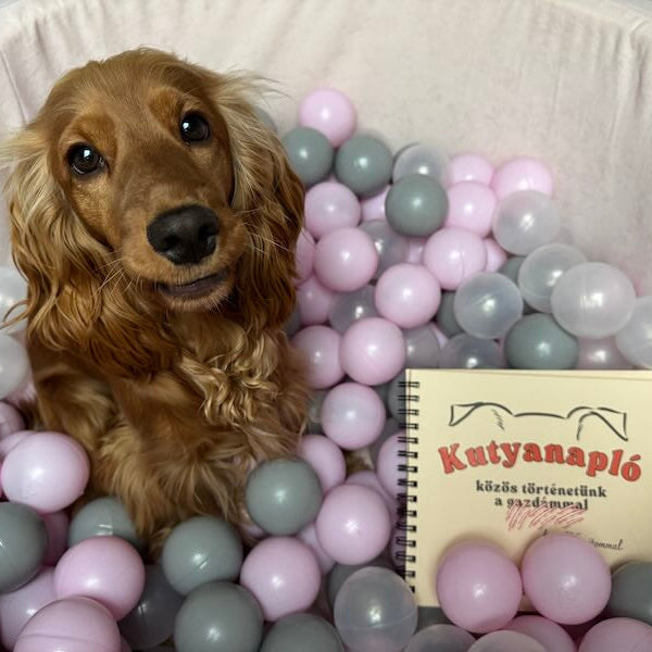 Kutyanapló a Mancsos Naplók sorozat részeként, mellette egy csomó labda között egy kutyus néz a kamerába.