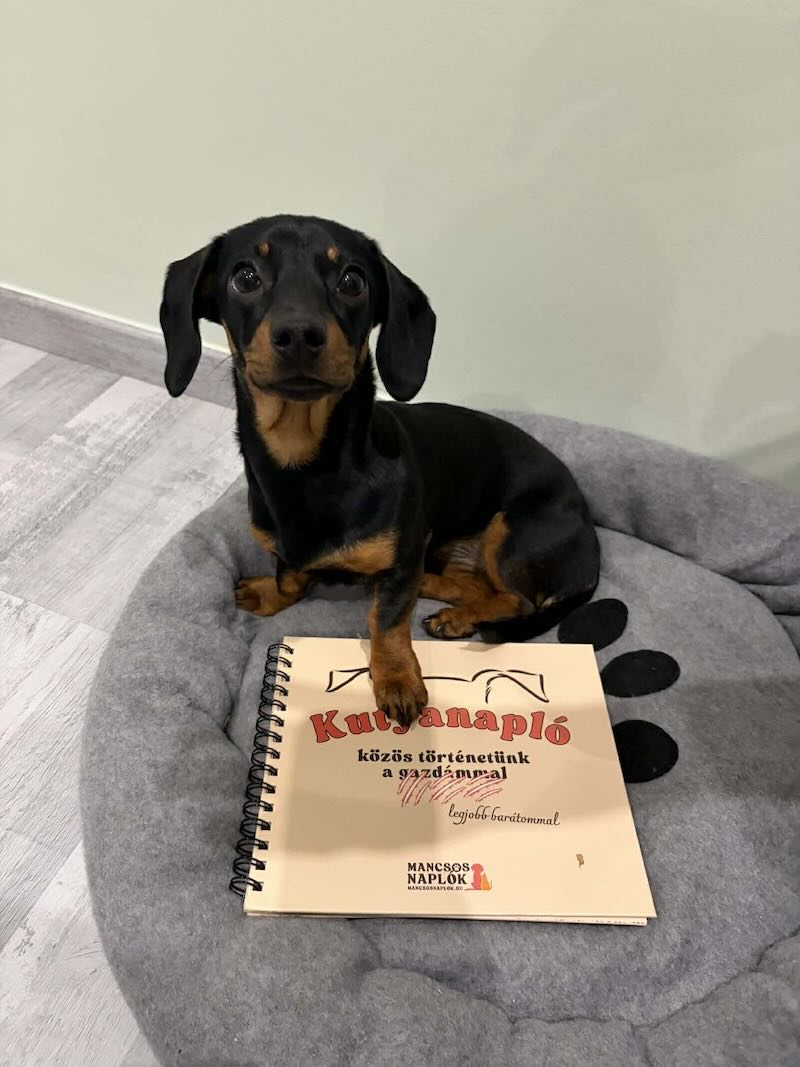 Kutyanapló a Mancsos Naplók sorozat részeként, mellette egy tacskó néz a kamerába, egyik mancsa a naplón.