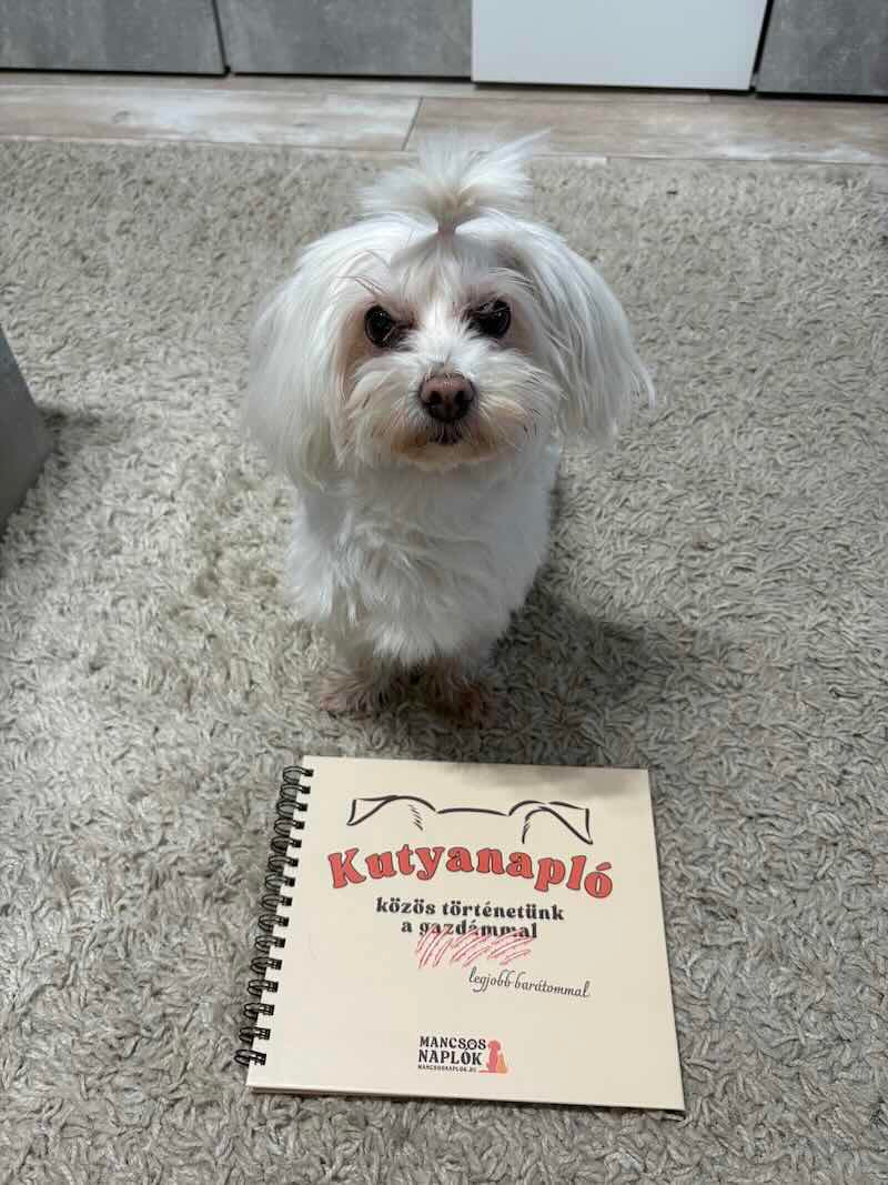 Kutyanapló a Mancsos Naplók sorozat részeként, mellette egy fehér kutya ül és néz a gazdijára.